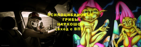кокс Алексин