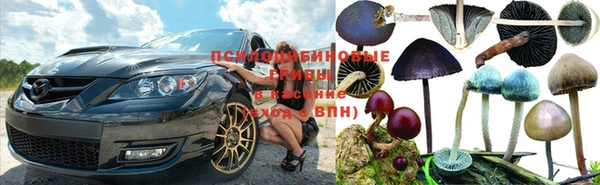 2c-b Алзамай