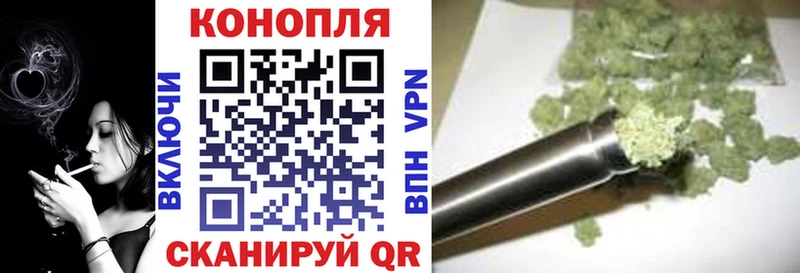Бошки марихуана планчик  Луга 